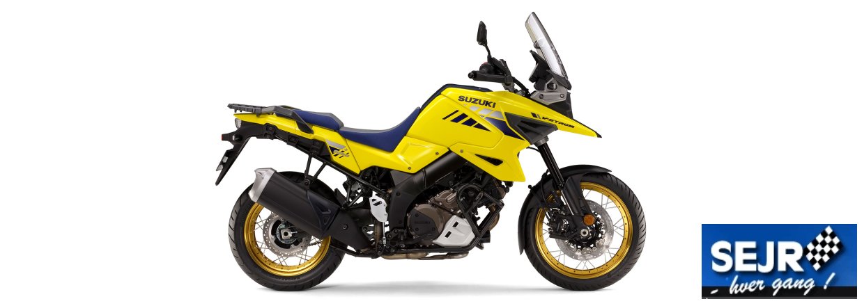 SUZUKI DL1050 Ankommer