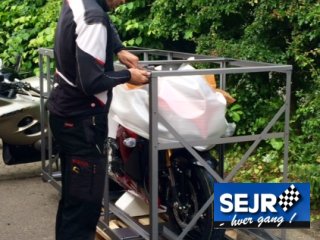 S er din nye legekammerat landet hos os !