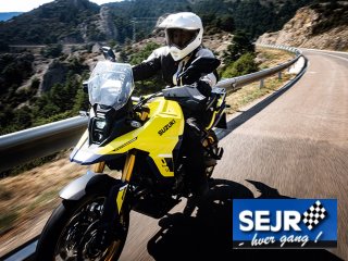 Sidste nyt fra SUZUKI