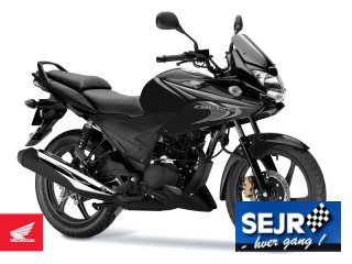 Haen fed dag, hver dag !