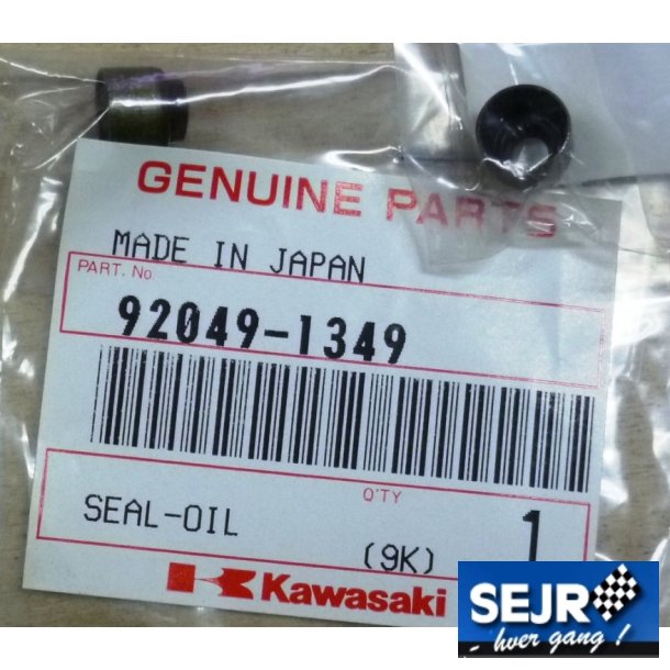 Ventil pakninger	92049-1349